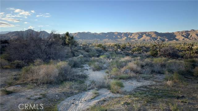 Yucca Valley, CA 92284,55370 Bunny Road