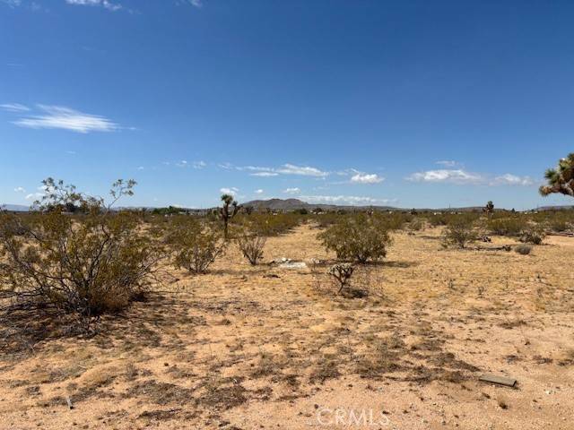 Landers, CA 92284,1 Mitch Road