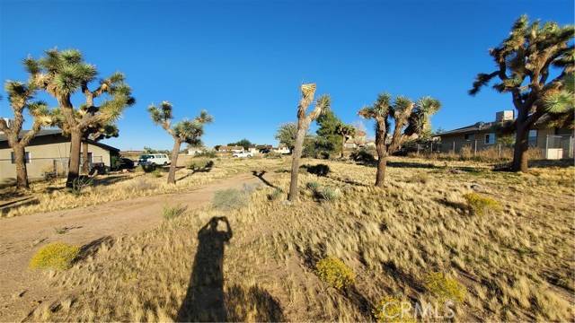 Yucca Valley, CA 92284,0 Palo Alto Avenue