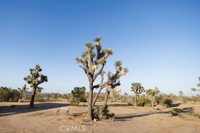 Yucca Valley, CA 92284,58382 Sunny Sands Drive