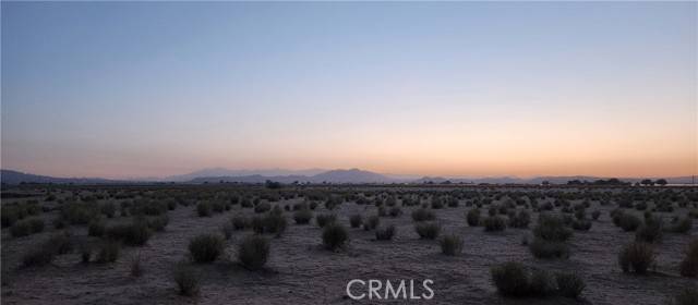 Joshua Tree, CA 92252,0 Cascade