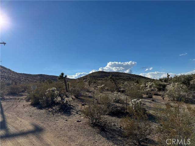 Yucca Valley, CA 92284,0 ocotillo