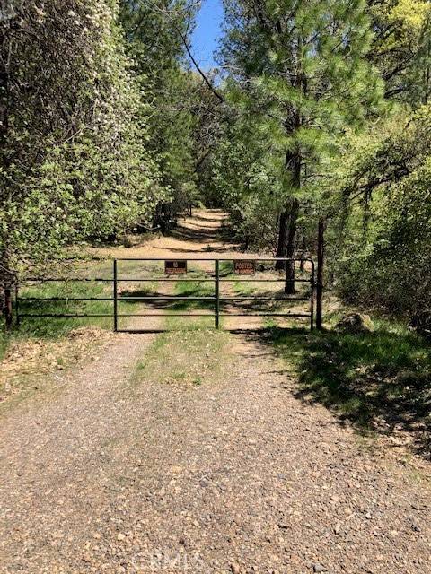 Loch Lomond, CA 95461,6736 Harrington Flat Road