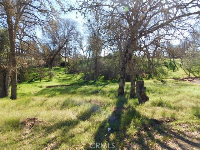 Clearlake, CA 95422,16299 36th Avenue