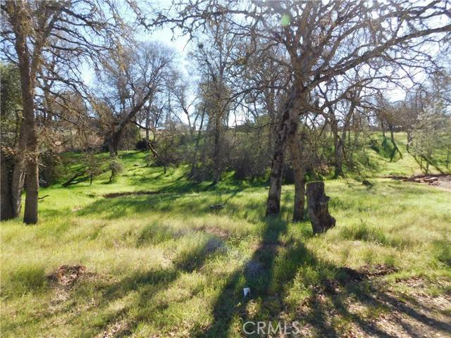 Clearlake, CA 95422,16299 36th Avenue