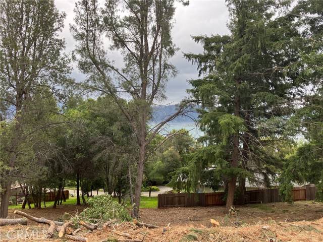 Kelseyville, CA 95451,3528 Fircrest Court