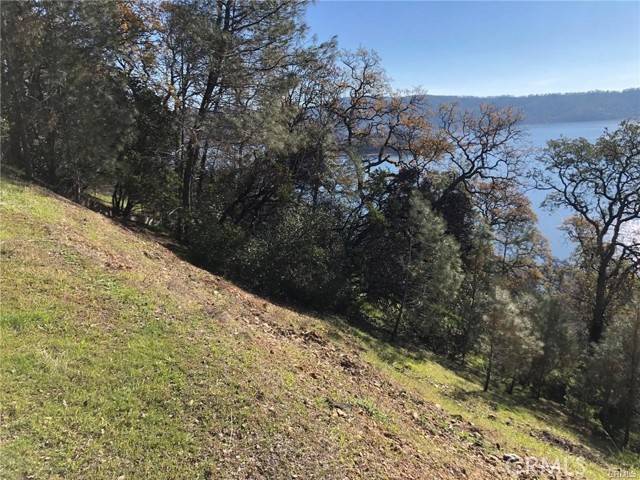 Clearlake Oaks, CA 95423,11725 Lakeview Drive