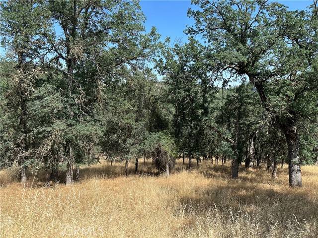 Hidden Valley Lake, CA 95467,18051 Vista Point Court