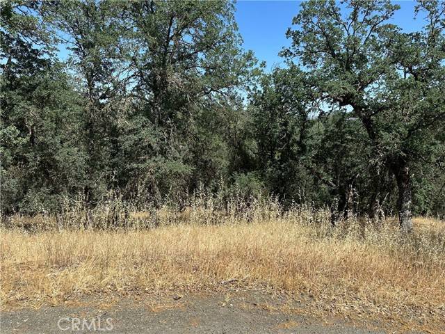 Hidden Valley Lake, CA 95467,18051 Vista Point Court