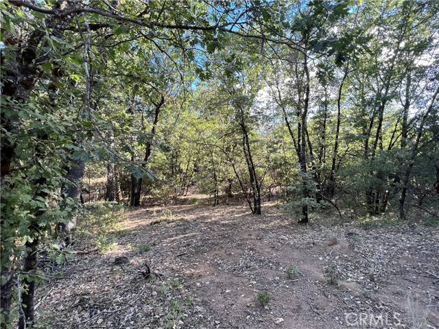 Kelseyville, CA 95451,9204 Diamond Dust Trail