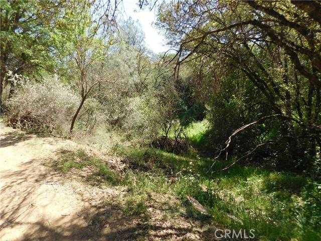 Clearlake, CA 95422,15773 39th Avenue