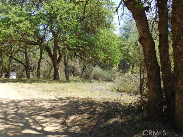 Clearlake, CA 95422,15773 39th Avenue