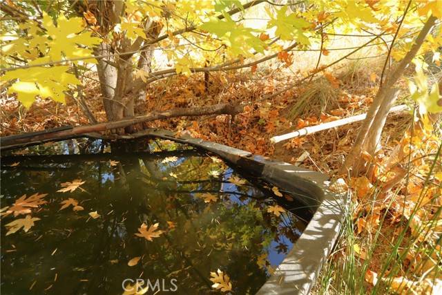 Upper Lake/ Upper Lake Valley, CA 95485,15667 17 N 11 Road