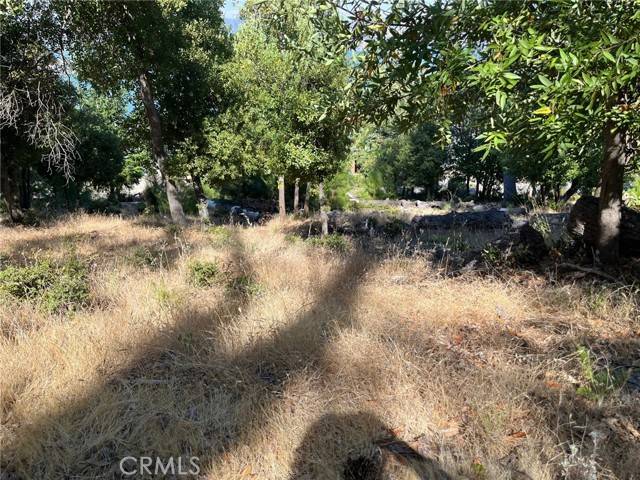 Kelseyville, CA 95451,3607 Pine Terrace Drive