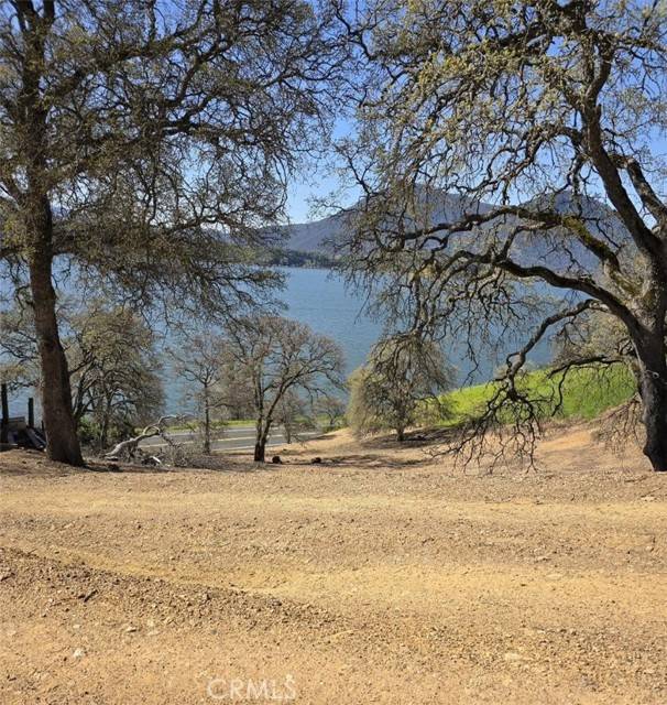 Clearlake Oaks, CA 95423,10981 Pingree Road