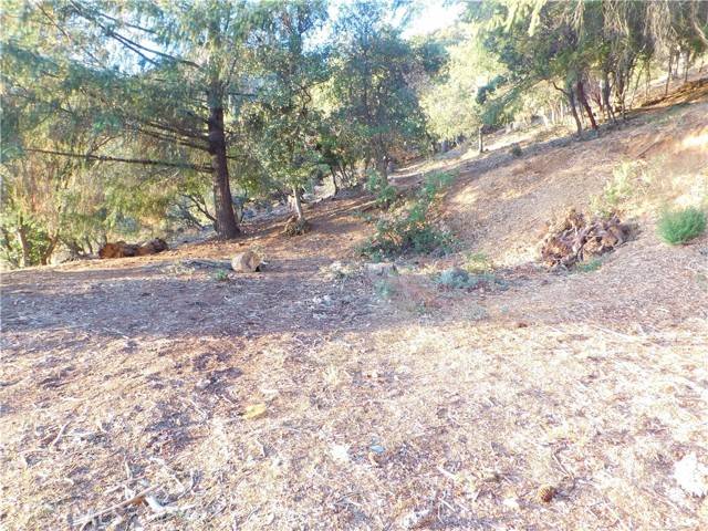 Kelseyville, CA 95451,8431 Mountain Crest Drive