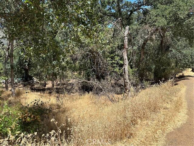 Clearlake, CA 95422,13020 Ridge Street