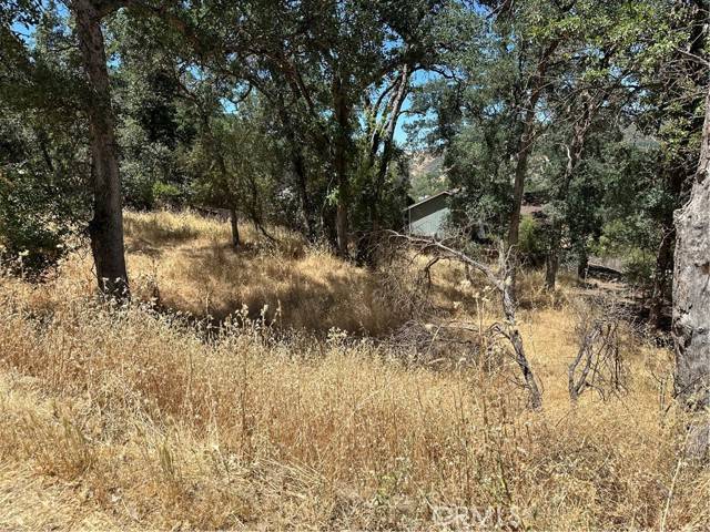 Clearlake, CA 95422,13020 Ridge Street