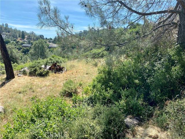 Kelseyville, CA 95451,4970 Iroquois Trail