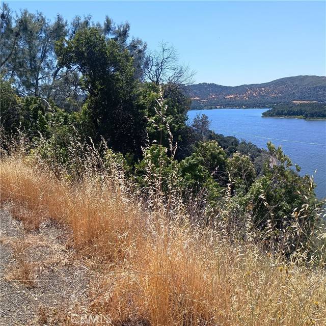 Clearlake Oaks, CA 95423,11765 Lakeview Drive