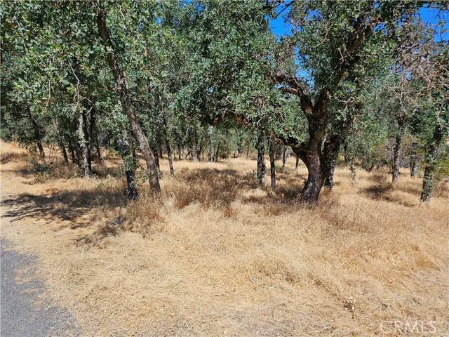 Clearlake, CA 95422,15676 34th Avenue