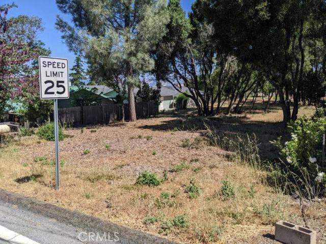 Kelseyville, CA 95451,3120 Riviera Heights Drive