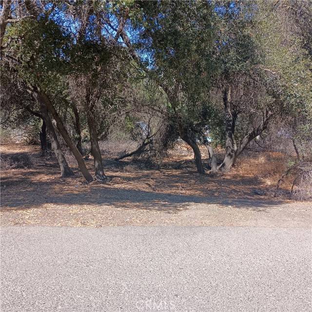 Clearlake, CA 95422,3031 9th st