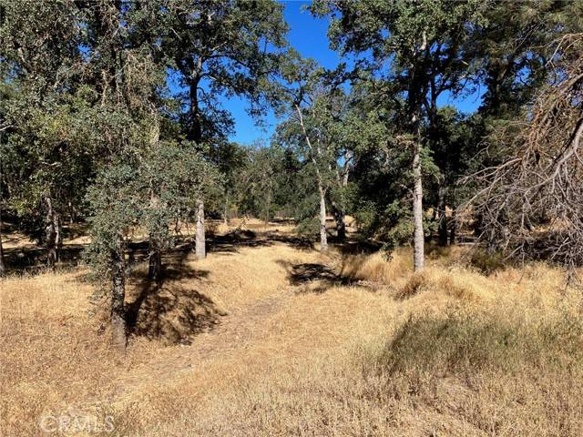 Clearlake, CA 95422,16108 36th Avenue