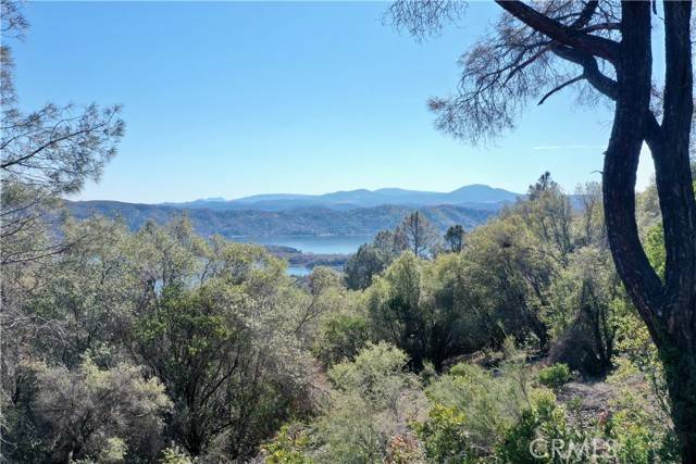 Clearlake Oaks, CA 95423,12403 Alta Vista Drive