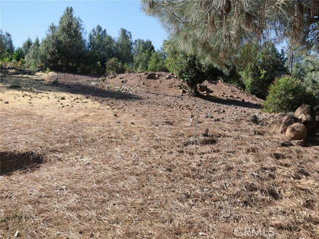 Kelseyville, CA 95451,10535 Divot Court