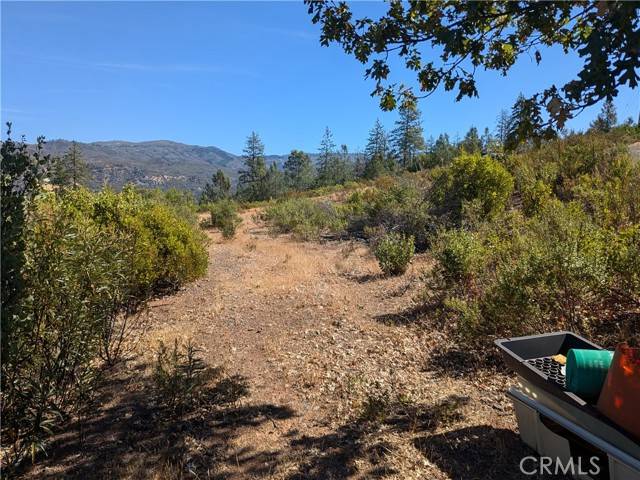 Upper Lake/ Upper Lake Valley, CA 95485,1725 Clover Valley Road