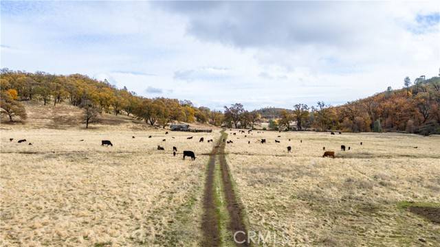 Lower Lake, CA 95457,11158 Rocky Creek Road