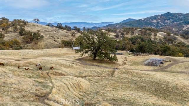 Ukiah, CA 95482,4600 Bus Mcgall Ranch Road