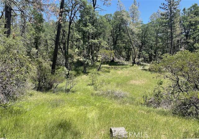 Loch Lomond, CA 95461,9660 Harrington Flat Road