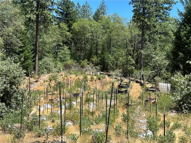 Upper Lake/ Upper Lake Valley, CA 95485,26949 Bear Creek Road