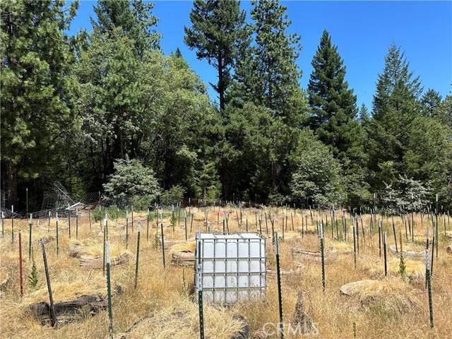 Upper Lake/ Upper Lake Valley, CA 95485,26897 Bear Creek Road