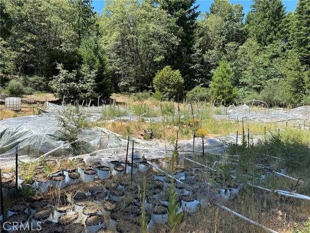 Upper Lake/ Upper Lake Valley, CA 95485,26897 Bear Creek Road