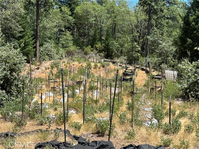 Upper Lake/ Upper Lake Valley, CA 95485,26897 Bear Creek Road