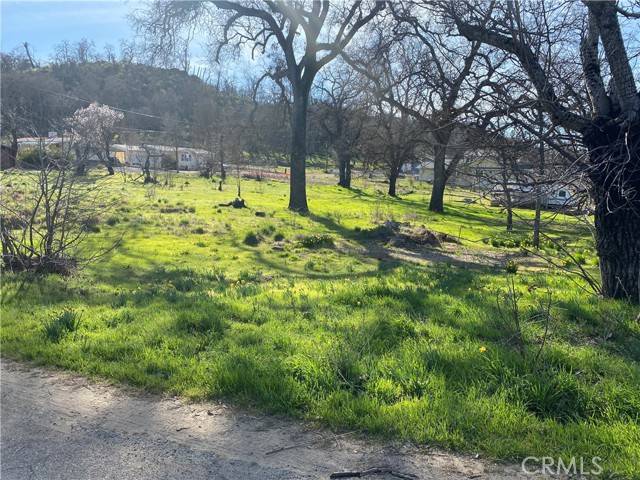 Lower Lake, CA 95457,16387 Daly Street