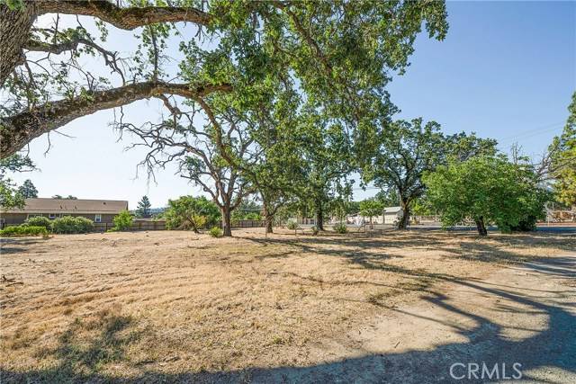 Middletown, CA 95461,21102 Park Avenue