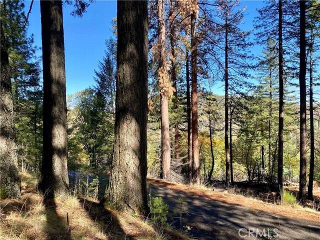 Cobb, CA 95426,9689 Elliott Drive