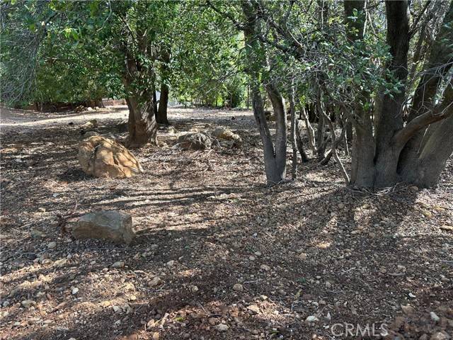 Kelseyville, CA 95451,8310 Mountain Crest Drive