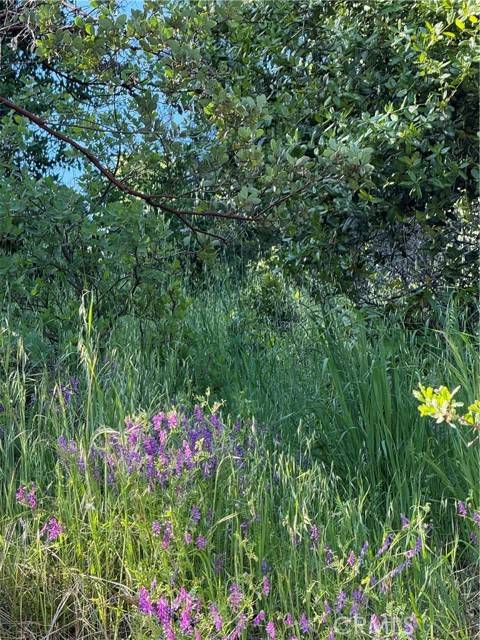 Nice, CA 95464,6705 Floyd Way