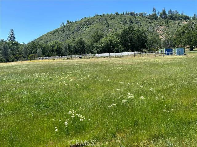 Middletown, CA 95461,12345 Seigler canyon rd