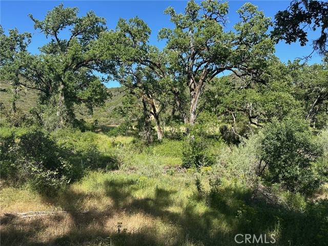 Lakeport, CA 95453,7300 Ridge Road