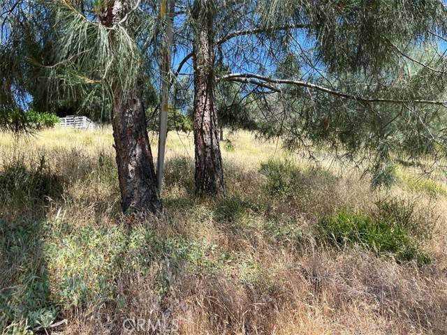 Kelseyville, CA 95451,6925 Echo Drive