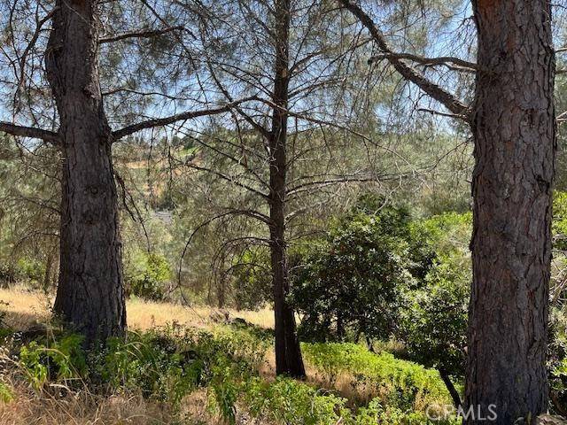 Kelseyville, CA 95451,10353 Walnut Way