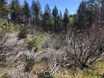 Lucerne, CA 95458,6847 High Valley Road