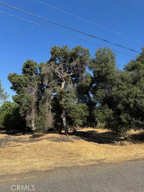 Clearlake, CA 95422,3595 Mountain View Street