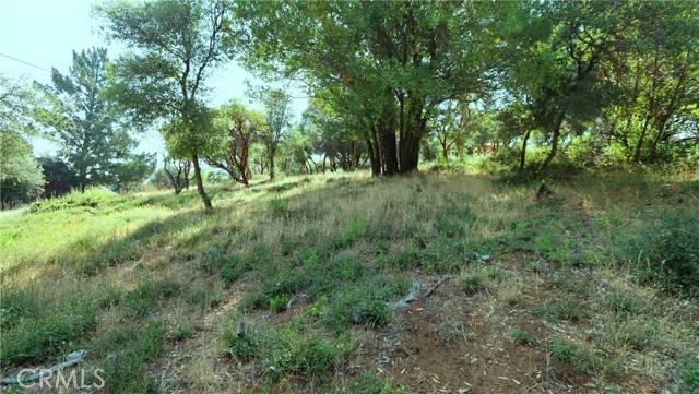 Kelseyville, CA 95451,9523 Tenaya Way